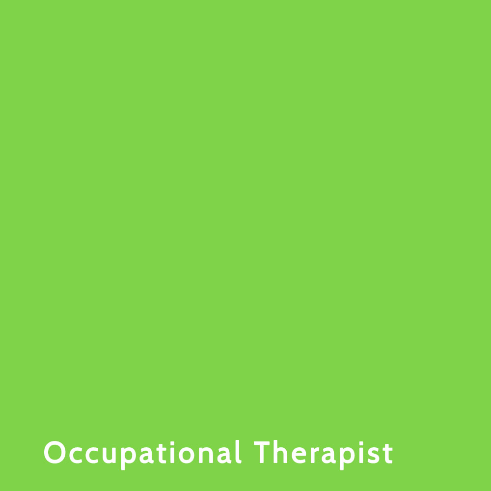 Occupational Therapist